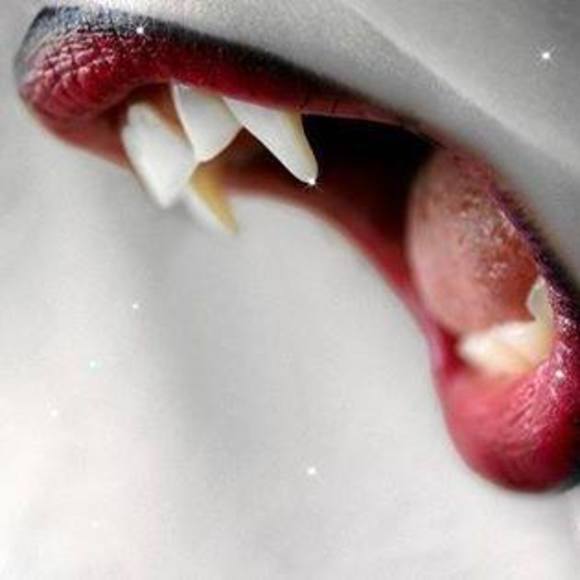 Meet your Posher, Danielle - Picture 1 of 1